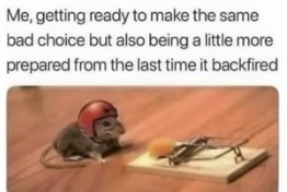 Mouse trap meme