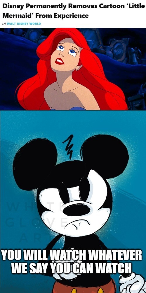 funny memes disney world