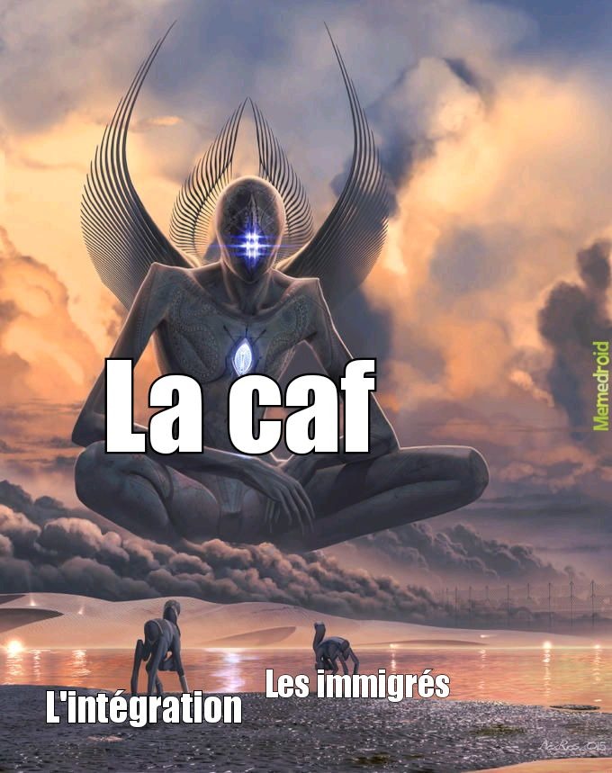 Efficace et pas cher, c'est la CAF que j'préfère. C'est la CAF ! - meme