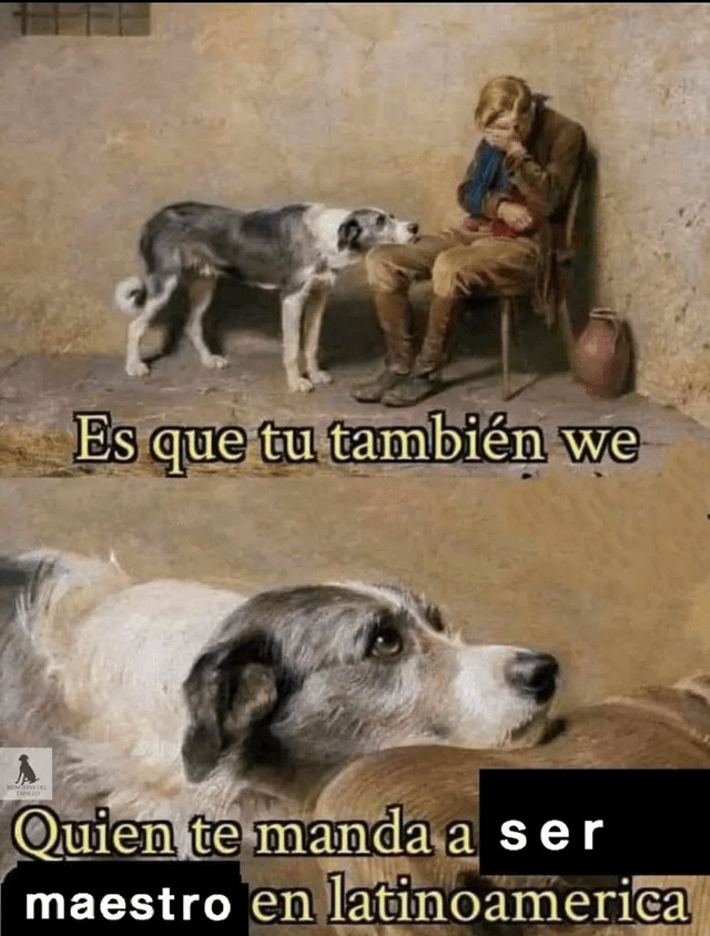 Quien te manda ser maestro en latam - meme
