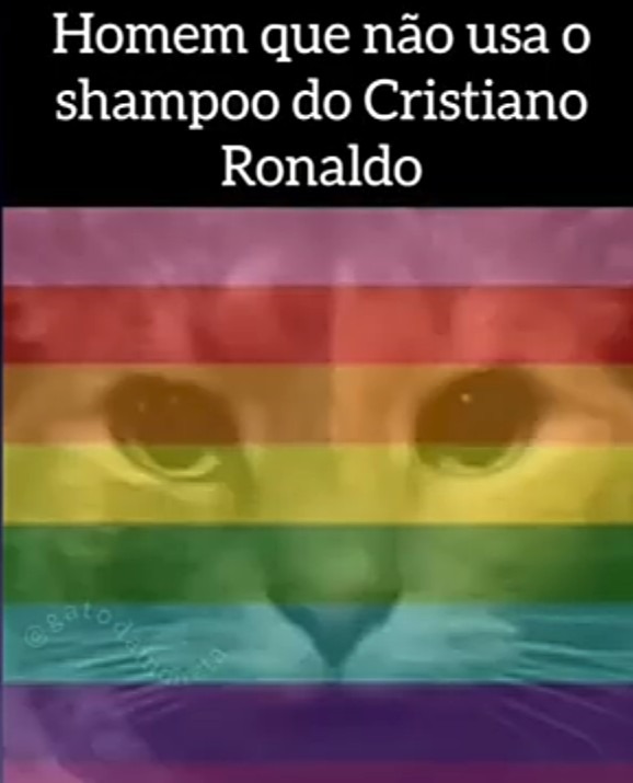 Gayzão - meme