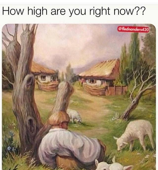How high are you now? - meme
