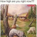 How high are you now?