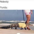 oh Florida