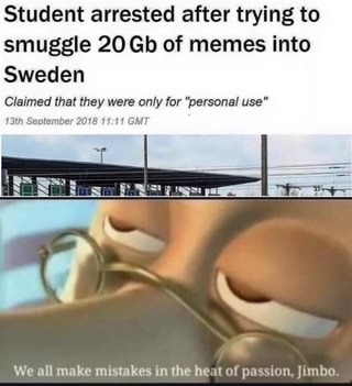 Student arrested after trying to smuggle 20 Gb of memes into Sweden