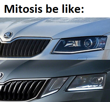 Škoda Octavia III (pre-facelift vs. facelift) - meme