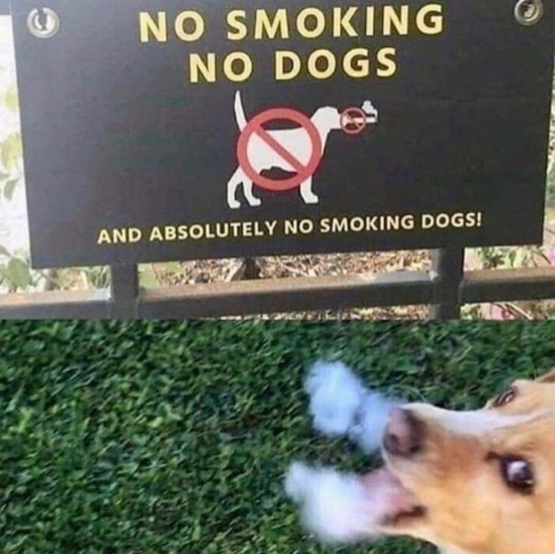 No smoke - meme