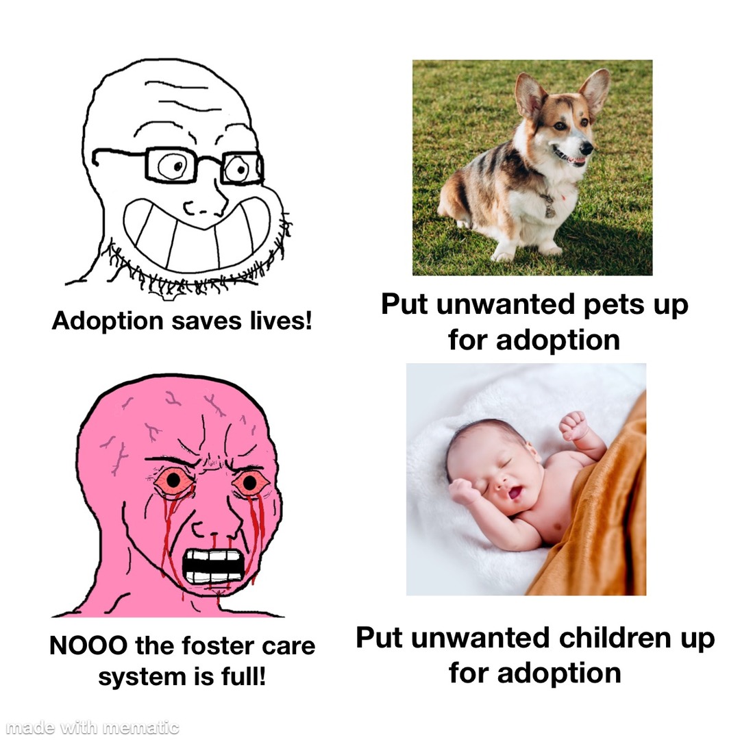 Kids over pets - meme