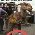 Dinosaurios rápidos