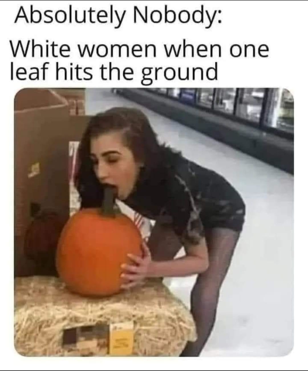 Is that how pumpkin spice is extracted? - meme