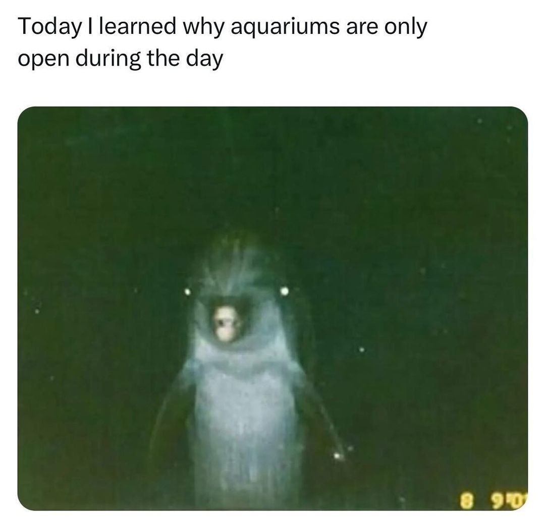 Petition of aquariums to open up at night during Halloween - meme