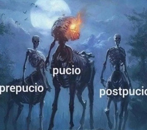 volvi :trollface: - meme
