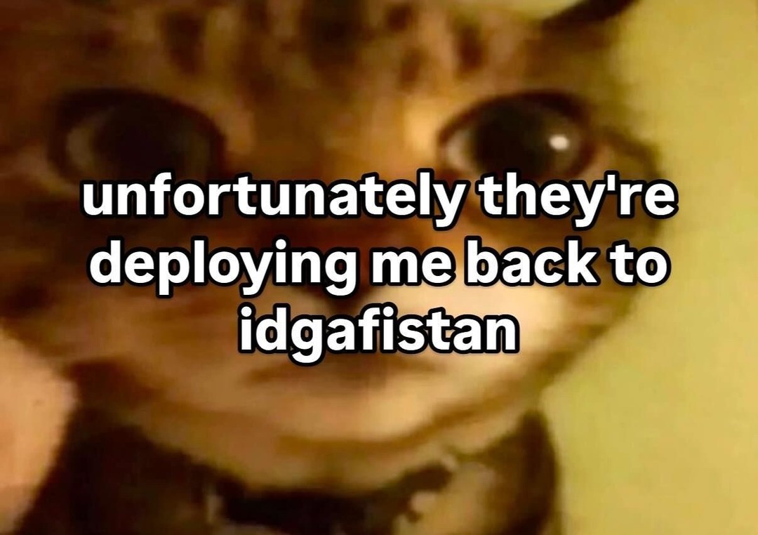 idgaf - meme