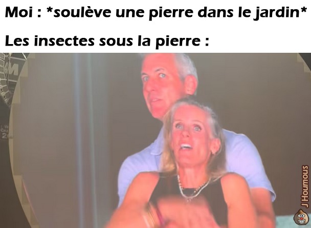 Surprise - meme