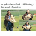 Poor doggo