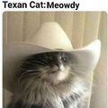 I love Texan cats