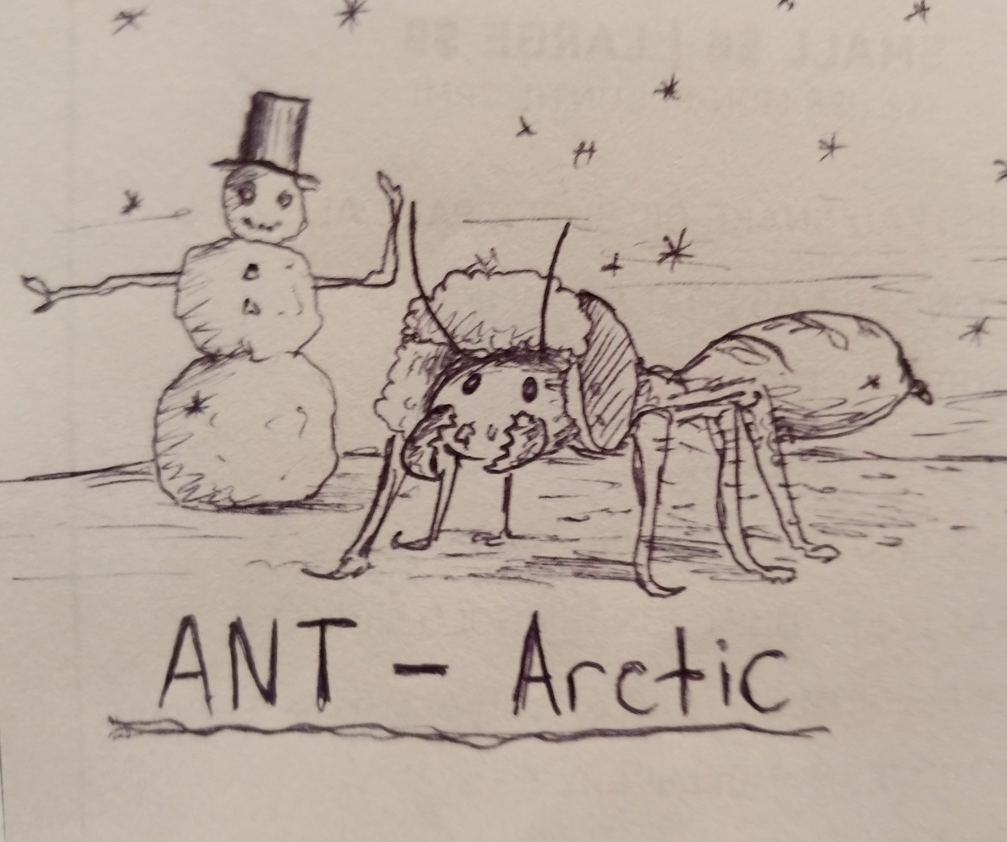 OC art: Ant-Arctic - meme