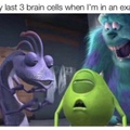 the last 3 brain cells