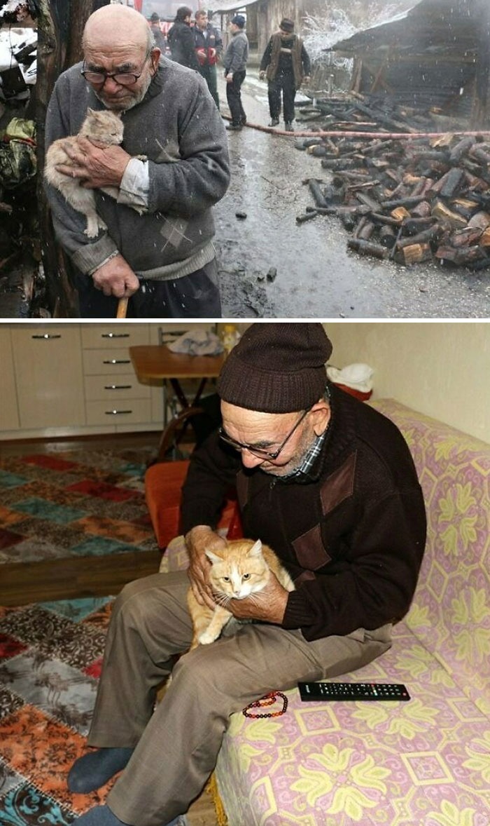 People helped out an old Turkish man who lost everything to a fire but managed to save his kitten :) - meme