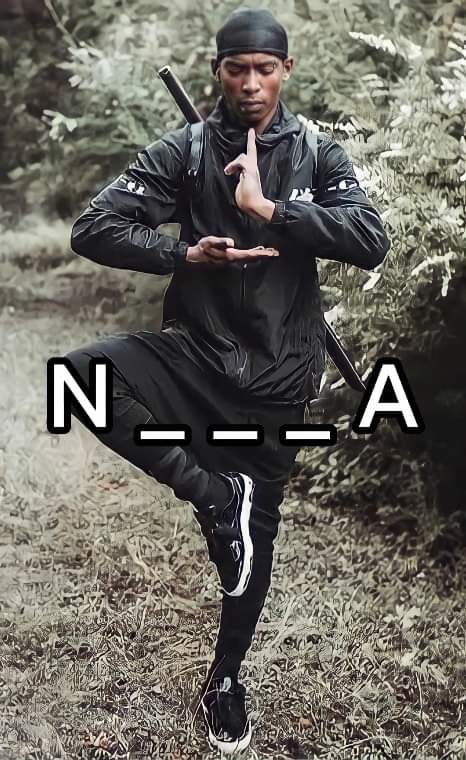 Nig... Ninja - meme