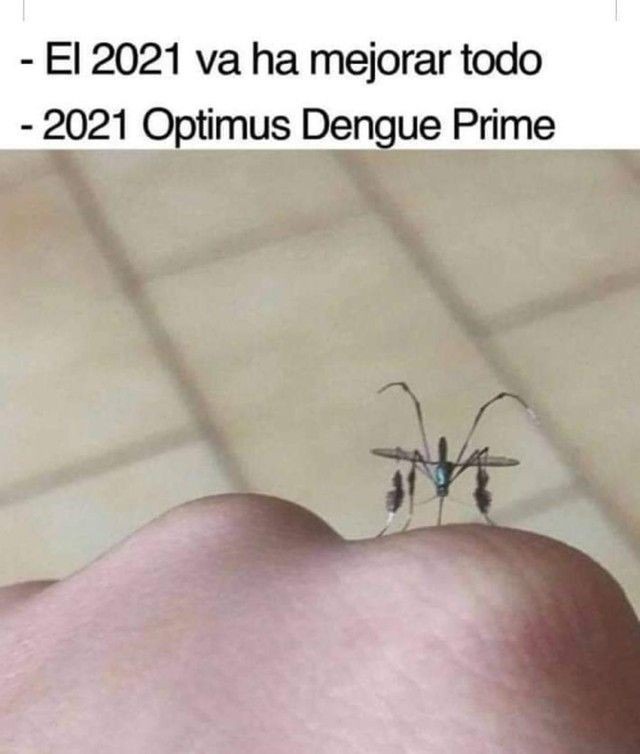 Mosquito prime - meme