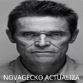 Novagecko actualiza