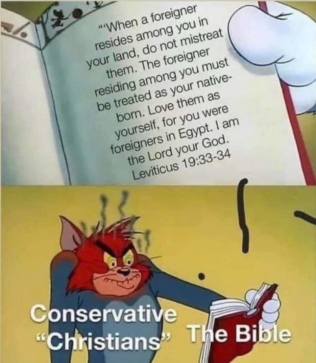 The best Leviticus memes :) Memedroid