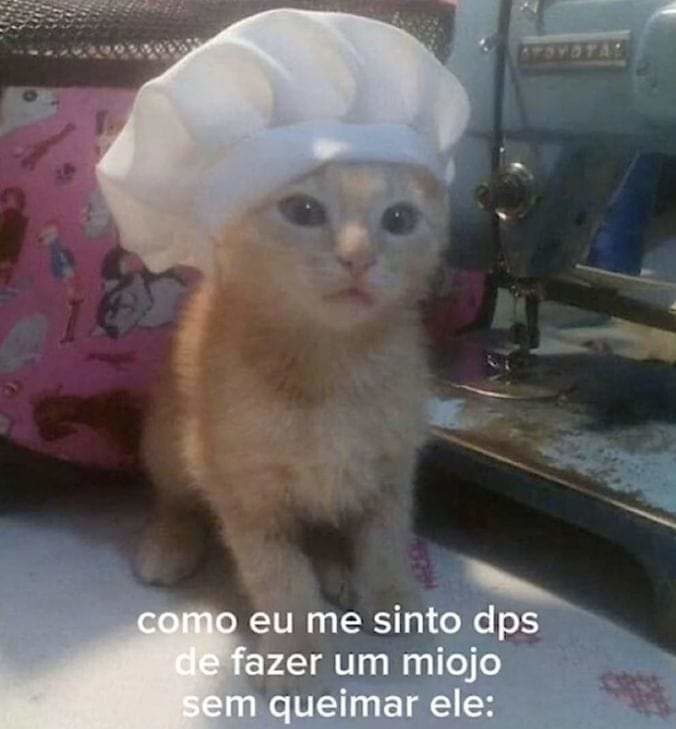 Master cat chef - meme
