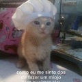 Master cat chef
