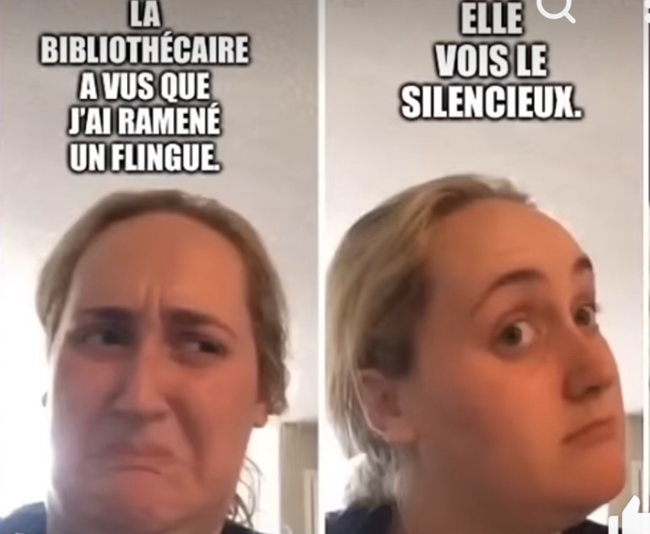 Même "empreinté" a @chara_ssbu sur YouTube - meme