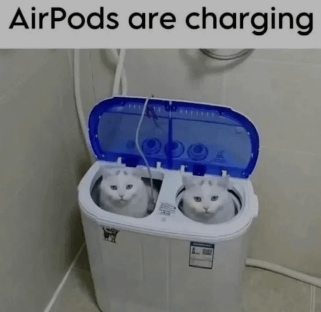 Catpods - meme