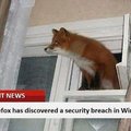 Firefox has discovered a security breach in Windows