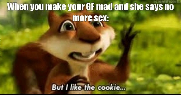 I like the cookie - meme