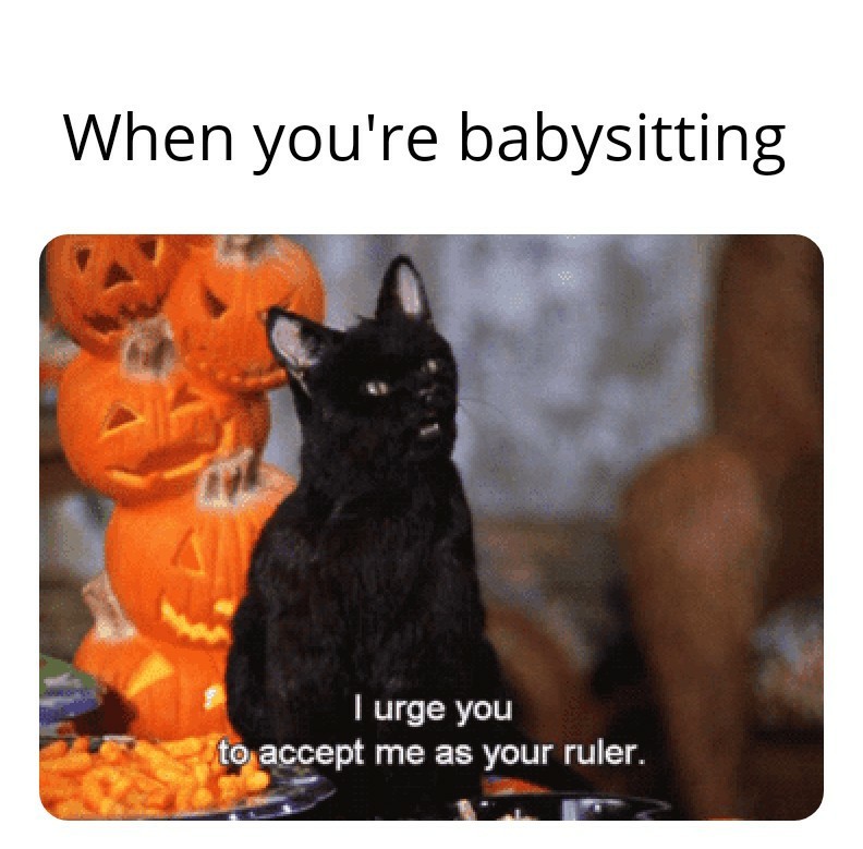Babysitter jobs - meme