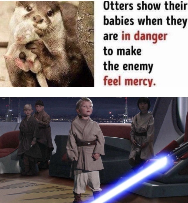 Jedi Babies - meme