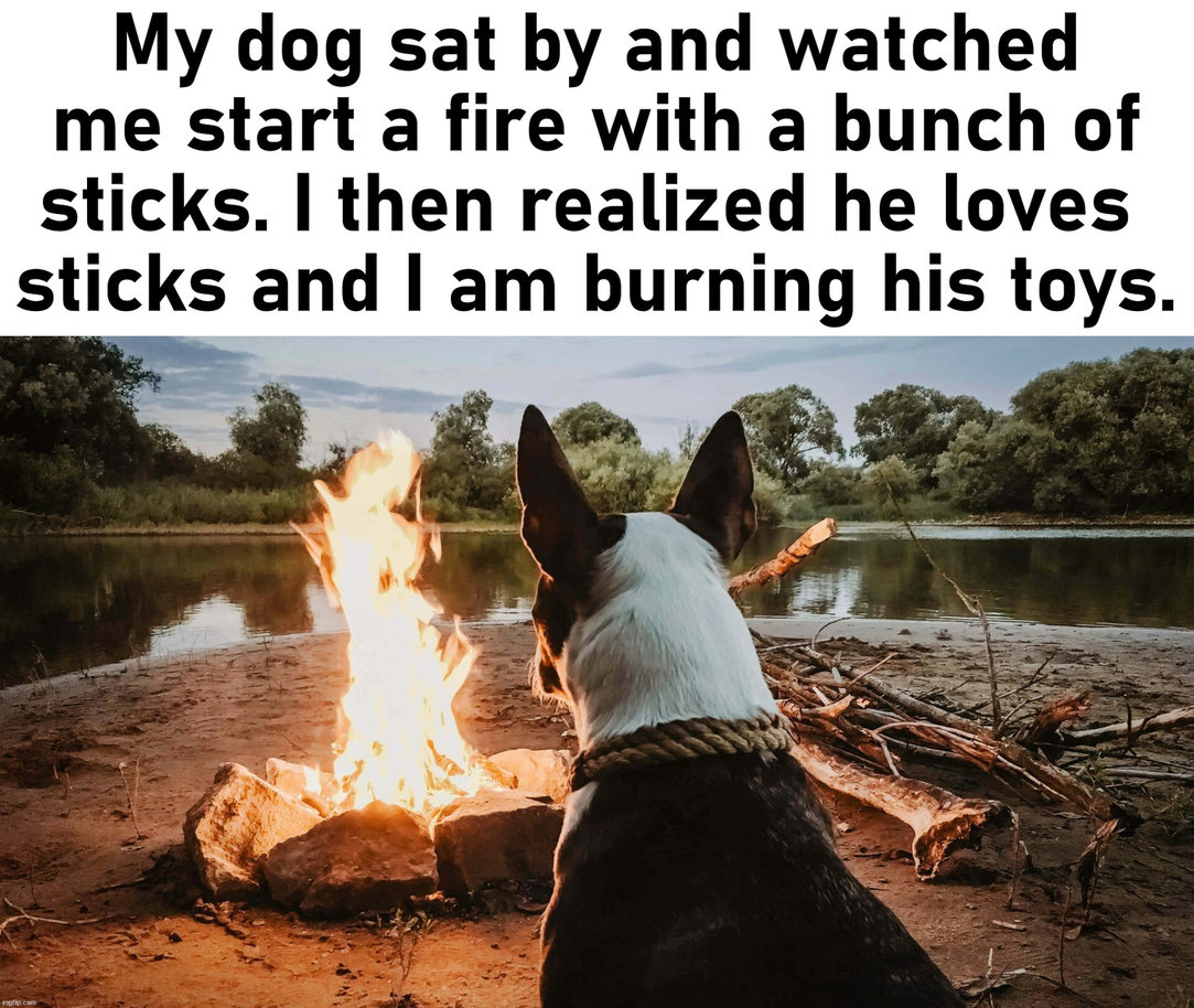 dogs dogs Memes \u0026 GIFs - Imgflip, image size:1083x914