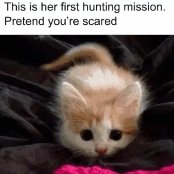 First hunting mission! Pretend you’re scared! - meme