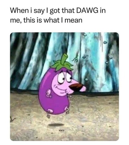 Raw Dawg - meme