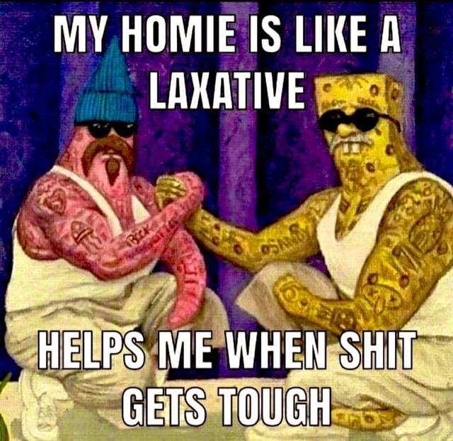 My homie really be my emotional laxative - meme