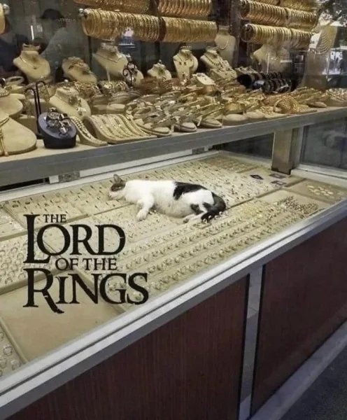 Baby Smaug before he got big - meme