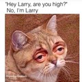 Larry tu est Def ? Bha non je suis larry