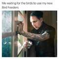 Ha birds