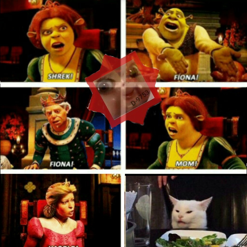 Shrek - Meme by dont_be_an_asshole :) Memedroid