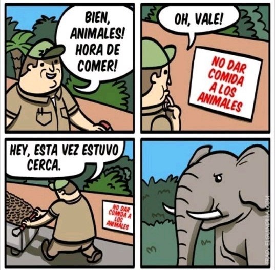 Elefante Asesino Orígenes - meme
