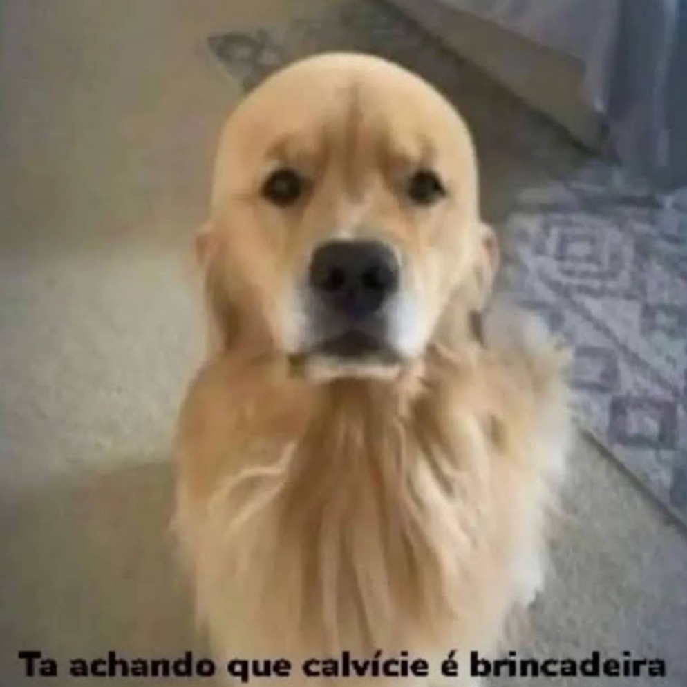Matheus Sena adotou um cachorro - meme