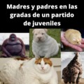 madres y padres