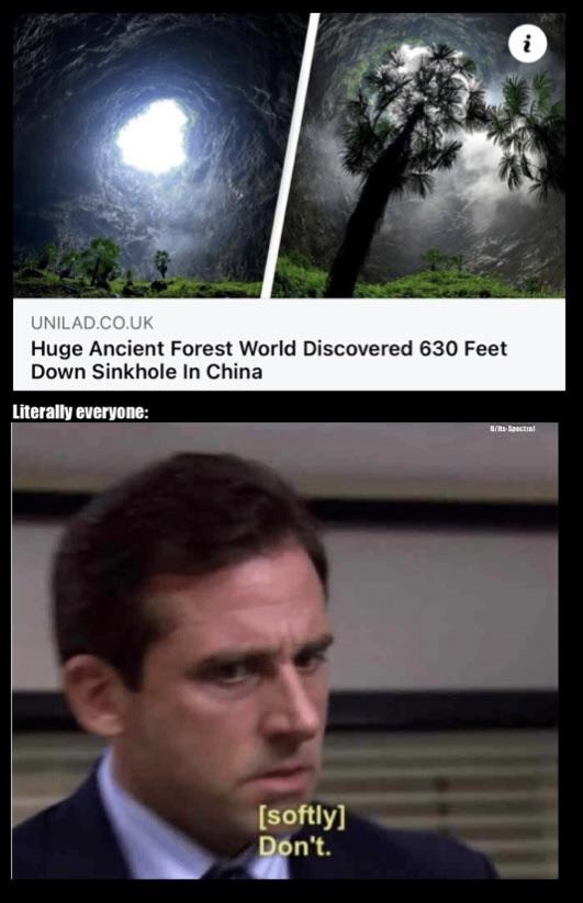 sounds cool, huge ancient forest world - meme