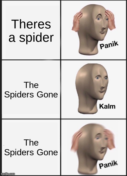 THAT DAMN SPIDER - meme