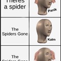 THAT DAMN SPIDER