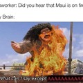 Poor maui